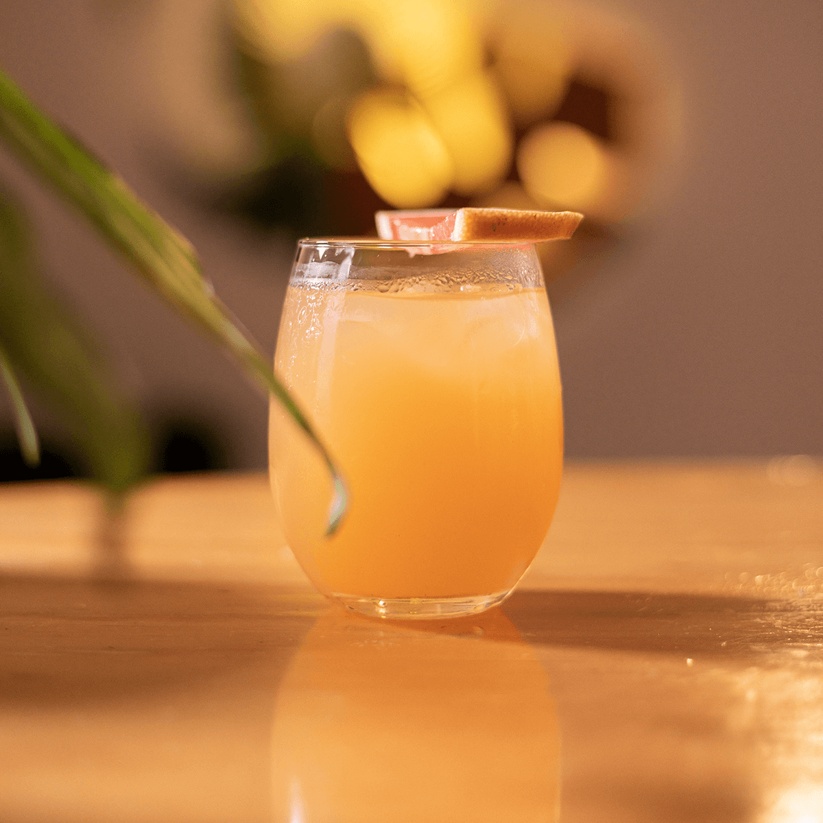 DULCE REMEDIO - Mezcal Mitre