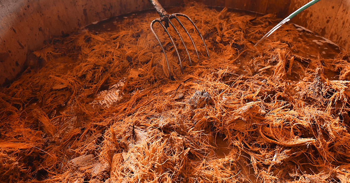¿Cómo se fermenta el Mezcal? - Mezcal Mitre