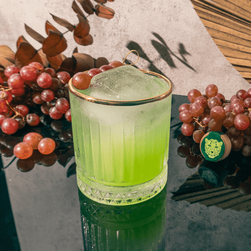 XOCOMECATL - Mezcal Mitre