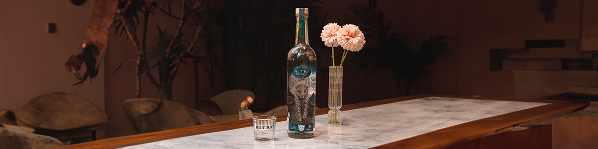 Explorando Maridajes Excepcionales: Pescados y Mezcal Mitre Origen - Mezcal Mitre